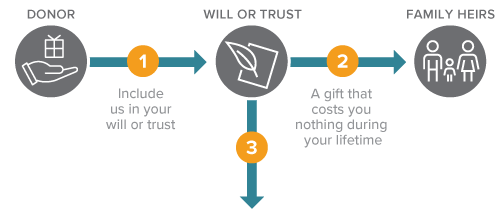 Gift from Your Will or Trust Diagram